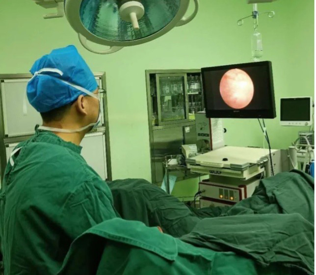 无痛膀胱镜检查或拔除/更换输尿管支架管